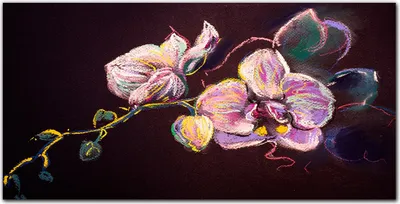 Produktbild von Coloray Bild aus Leinwand 100x50 Leinwand Dekoration - Blumen Blätter