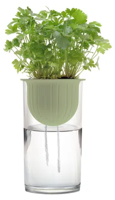 Produktbild von Hydro Plant Kit | Anzuchtzubehör von Romberg, Menge (Stück):1 Stück