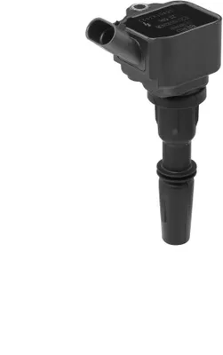 Produktbild von BorgWarner (BERU) ZS596 Zündspule 12V für FIAT 500 (312) 500 C (312) Panda Schrägheck (312, 319) Panda Van (312, 519) für LANCIA Ypsilon (312)
