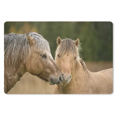 Produktbild von MuchoWow® Schreibtischunterlage Nahaufnahme von kuschelnden Fjordpferden 60x40 cm - XXL Mauspad - Großes Mauspad