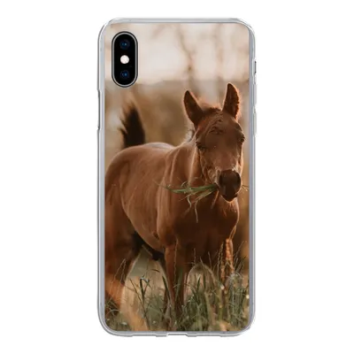 Produktbild von MuchoWow® Handyhülle Schutzhülle Hülle für iPhone Xs Pferd - Sonne - Gras Silikon Softcase Handy Hülle - Handytasche