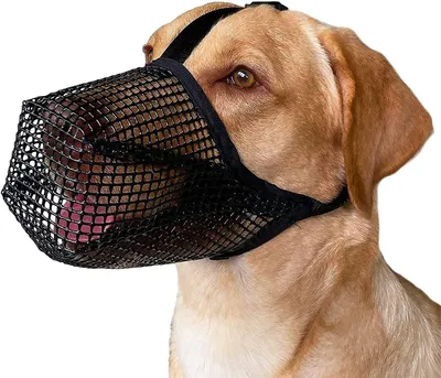 Productafbeelding van Ademende Maulkorf voor Honden, Verstelbaar voor Kleine, Middelgrote en Grote Honden