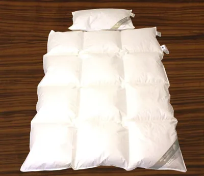 Produktbild von Hofmann Luxus Kinder Baby Ganzjahres Daunendecke 100x135 + Kissen 100% Daunen