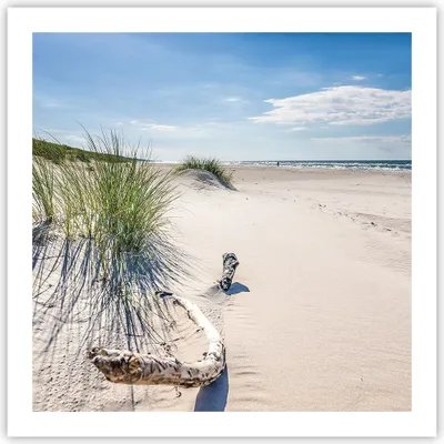 Produktbild von Poster - Poster ohne Rahmen - Mrzezyno Strand Meer - 60x60 cm - Wand Bild - Wanddeko - Wandbilder - Kunstposter - Wandposter - Bilder - Kunstdruck - Wanddekoration - Wandbild - P2XAC60x60-4281