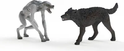 Image de HARRY POTTER - Loup-garou vs. Animagus