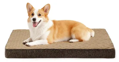 Produktbild von Orthopädisches Hundebett Mittelgroße Hunde Waschbar Braun 76x46x7.5cm