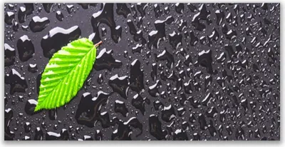 Produktbild von Tulup Leinwand-Bilder 140x70 Wandbild Canvas Kunstdruck Blatt Kunst