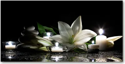 Immagine prodotto di Tulup® Glas-Bild - 100x50 - Opera d'arte da parete - Pannello decorativo da parete realizzato con vetro di sicurezza temperato - Motivo: fiori e piante - Gigli bianchi - Colore: nero