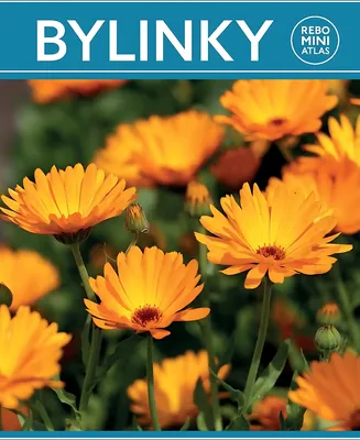 Produktbild von Bylinky | Hanneke van Dijk