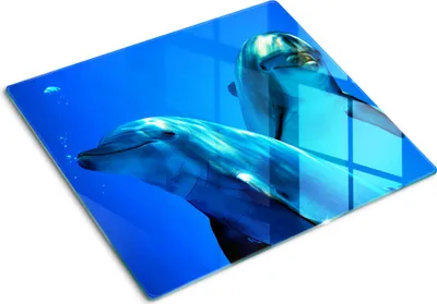 Imagen del producto de Cubierta para placa de cocina – Cubierta para placa de inducción – Placa de protección de vidrio – 60x52 cm – Placas de protección de vidrio para cocina – Vidrio templado – Dos delfines