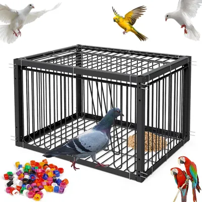 Produktbild von Vogelkooi 43,2 x 33,3 x 26 cm - Vogelkäfig für innen - Sicher und rostbeständig