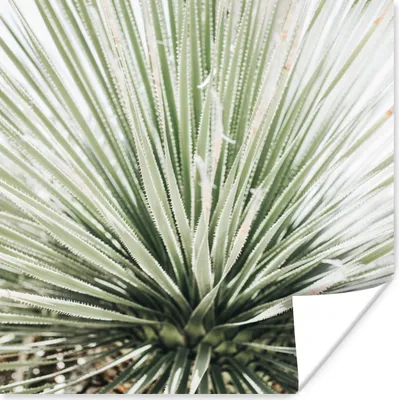 Produktbild von MuchoWow® Poster Grün - Blätter - Natur 100x100 cm - Babyzimmer