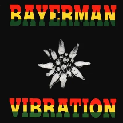Produktbild von Söllner,Hans-Bayerman Vibration