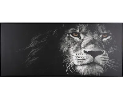 Obrázok produktu pre Obraz v ráme Shadow Animal 59 x 134 cm