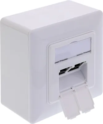 Image de InLine® prise de raccordement Cat.6A, 2x RJ45 prise femelle, RAL9010, blanc