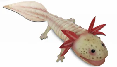Produktbild von HANSA - 7802 - Axolotl, Plüsch, 45cm, pink