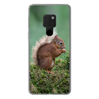 Produktbild von MuchoWow® Handyhülle Schutzhülle Hülle für Huawei P40 Lite Eichhörnchen - Wald - Moos Silikon Softcase Handy Hülle - Handy