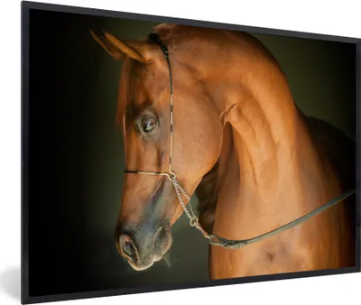 Produktbild von MuchoWow® MuchoWow® Gerahmtes Poster Pferd - Braun - Zaumzeug 90x60 cm - Poster mit zchwarzem Bilderrahmen - Fotorahmen - Foto-Plakat
