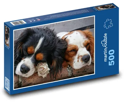 Obrázok produktu pre martinpuzzle - Puzzle 500 - Spiaci psi