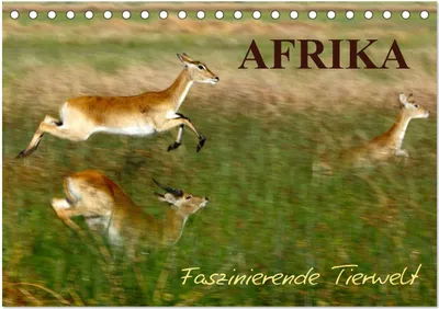 Produktbild von Afrika - Faszinierende Tierwelt (Tischkalender 2025 DIN A5 quer), CALVENDO Monatskalender