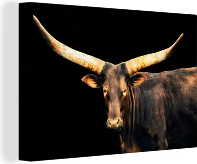 Obrázok produktu pre OneMillionCanvasses® - Plátno - 140x90 cm, Krava - Watussi - Hnedá, nástenné umenie Print Wall Decoration
