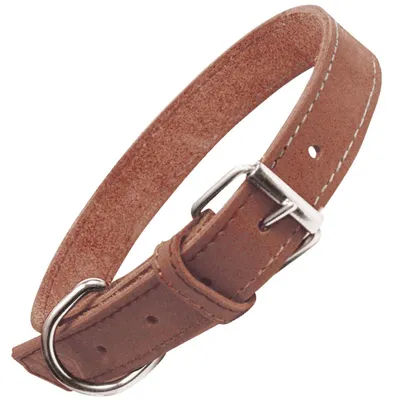 Productafbeelding van Hondenhalsband Gloria Oasis, bruin, 40 cm (40 x 1,5 cm)