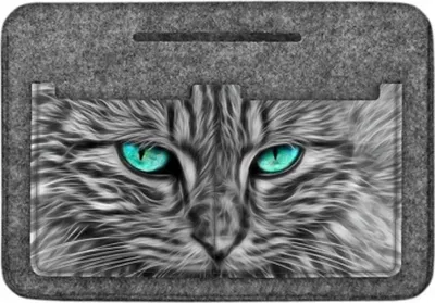 Produktbild von Taschenorganizer »Cat-B« OR21
