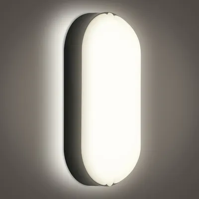 Obrázok produktu pre TolleTour LED svetlo odolné proti vlhkosti 15W stropné svetlo Suterénne svetlo Kúpeľňové svietidlo Lampa 1 kus