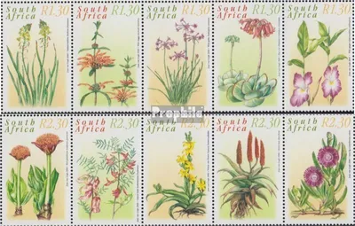 Produktbild von Briefmarken Südafrika 2000 Mi 1262-1271 Fünferstreifen (kompl.Ausg.) gestempelt Heilpflanzen