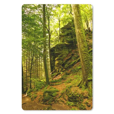 Produktbild von MuchoWow® Mauspad Mousepad Bäume - Stein - Wald - Natur - Pflanzen 40x60 cm - Mousepads - Maus Mat - Pad - Mausunterlage - Schreibtisch Accesoire