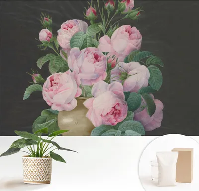 Produktbild von Fototapete  - 152x104 cm - Tapete - Wandtapete - Wandbilder  - Dekofolie - Tapete Folie - Wand - Dekoration - Wohnzimmer - Florale Eleganz