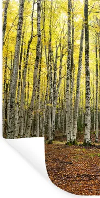 Produktbild von MuchoWow® Wandtattoo Wandsticker Wandaufkleber Wald - Bäume - Gelb 20x40 cm Selbstklebend und Repositionierbar - Selbstklebend - Fototapeten