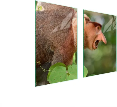 Obrázek produktu pro Skleněná Ochranná Deska Do Kuchyně 65X52 Nosacz