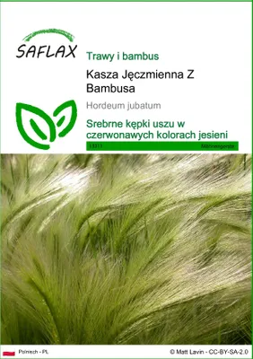 Zdjęcie produktu dla SAFLAX - Kasza Jęczmienna Z Bambusa - 70 Nasiona - Hordeum jubatum