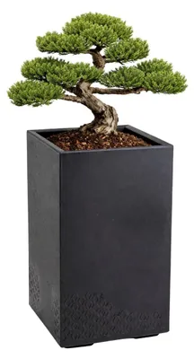 Image de HowHomely | Bac à fleurs - Pot de fleurs - noir - 60 x 40 x 40 cm - Cache-pot sur roulettes - Pratique