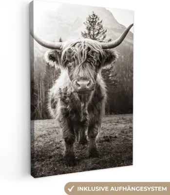 Produktbild von MuchoWow® - Leinwandbilder - Schottischer Highlander - Tiere - Schwarz - Weiß, Wandbild, Wanddeko Bilder Wohnzimmer, 20x30 cm