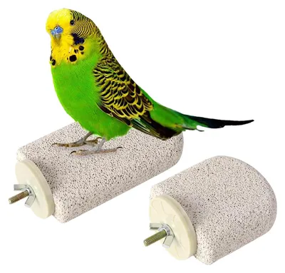Productafbeelding van 2 stuks zitstokken voor papegaaien, zitstok in de vorm van een ijsstok