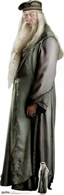 Produktbild von Harry Potter - Albus Dumbledore - Pappaufsteller Standy - Größe ca. 61x184 cm