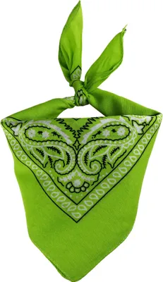 Produktbild von Bandana Tuch Paisley Muster 02 hellgrün weiß quadratisches Kopftuch