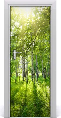 Imagen del producto de Adhesivo decorativo para pared, 75x205 cm. Adhesivo autoadhesivo, impermeable, papel tapiz removible. Ideal para dormitorios, salones y decoración del hogar. Marca: Birkenwald