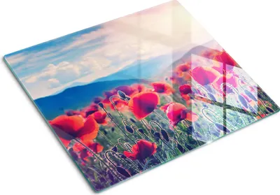Imagen del producto de Placa de protección de vidrio – Cubierta para placa de cocina – Cubierta para placa de inducción – 60x52 cm – Limpieza fácil – Vidrio templado – Diseño de flores de amapola