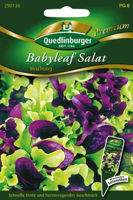 Zdjęcie produktu dla Quedlinburger Saatgut - Mieszanka sałat liściastych - Nasiona - 290136
