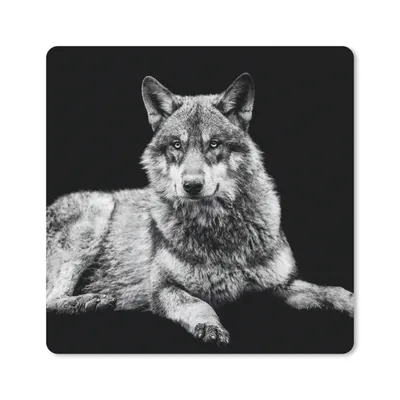 Produktbild von MuchoWow® Mauspad Mousepad Wildlife - Wolf - Schwarz - Weiß 30x30 cm - Mousepads - Maus Mat - Pad - Mausunterlage - Gaming