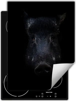 Produktbild von DarHaus Herdabdeckplatte Einteilig Küche Abdeckplatte für Glaskeramikfeld Abdeckung Induktionskochfeld Aufrollbare Matte 40x52 cm, schwarz - Wildschwein