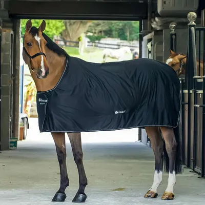Produktbild von Bucas Shamrock Power Abschwitzdecke, Stalldecke, Transportdecke in zwei Farben, Farbe:Black/Silver, Größe:120
