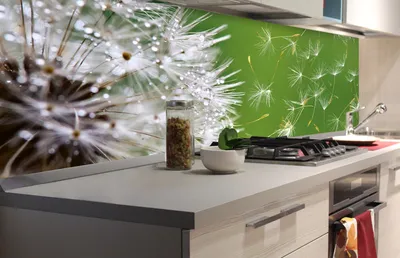 Produktbild von Küchenrückwand Folie selbstklebend LÖWENZAHN 180 x 60 cm - Klebefolie - Dekofolie - Spritzschutz für Küche -