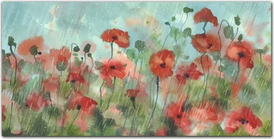 Produktbild von Coloray Küchenrückwand 100x50 Spritzschutz aus Glas - Mohn im regen