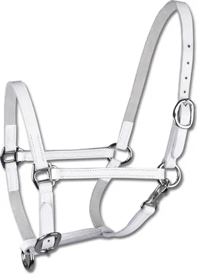 Produktbild von Waldhausen Halfter STAR Fohlenvorführhalfter Leder Weiß WB