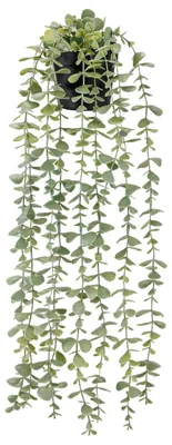 Image de Plante artificielle, plante suspendue artificielle, plante murale artificielle pour le salon, décoration murale, décoration d'étagère (pots noirs)