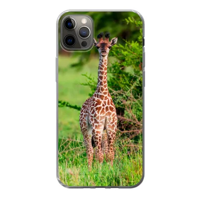 Produktbild von MuchoWow® Handyhülle Schutzhülle Hülle für iPhone 12 Pro Max Baby - Giraffe - Pflanzen Silikon Softcase Handy Hülle - Hartschale